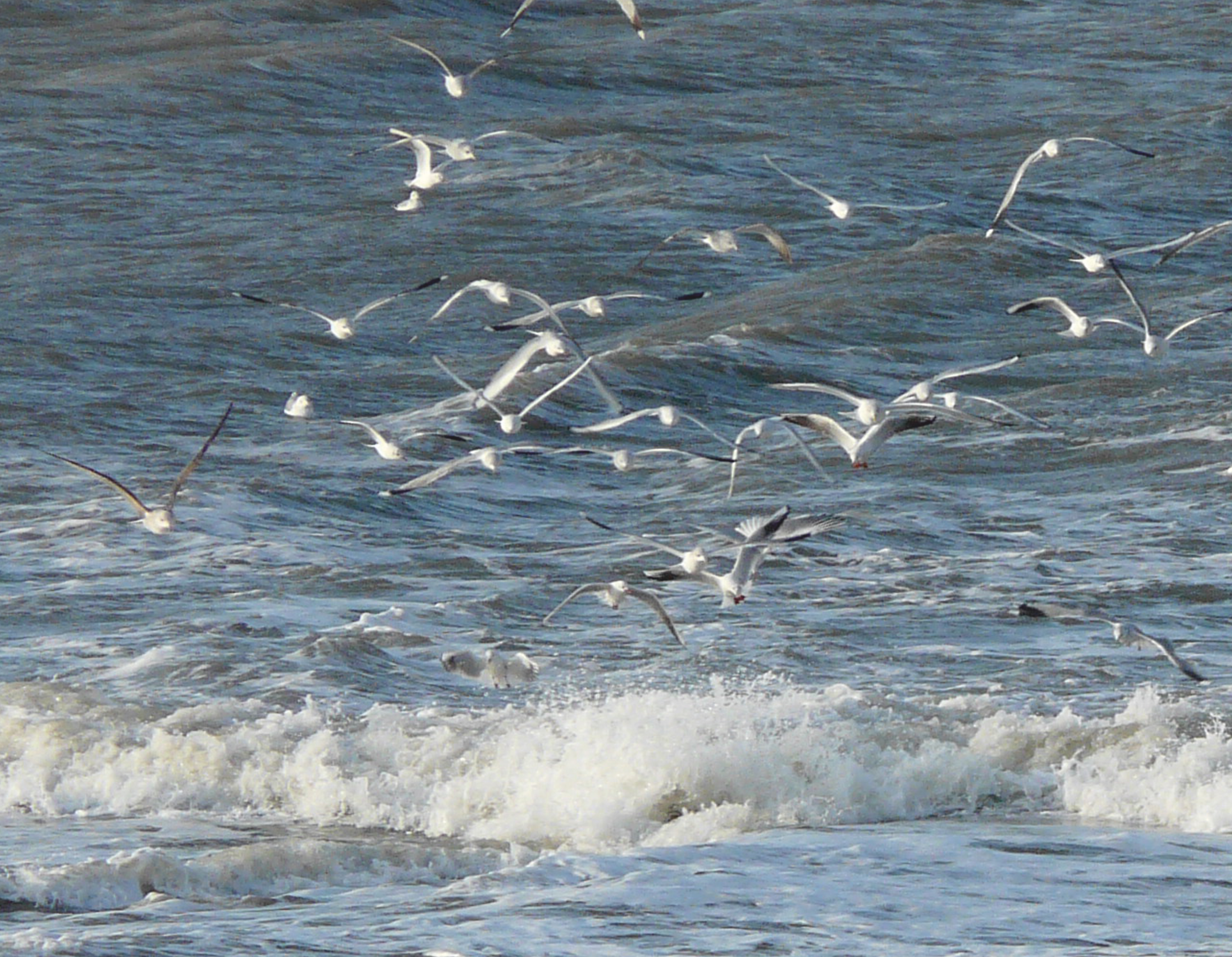 Wattenmeer Foto: Take Janssen